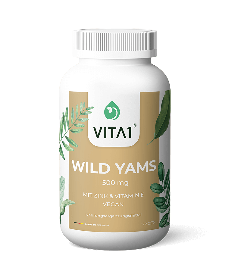 vita1-wild-yams-kapseln-120x-500-mg